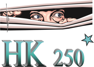 HK250* Glasrenovatie